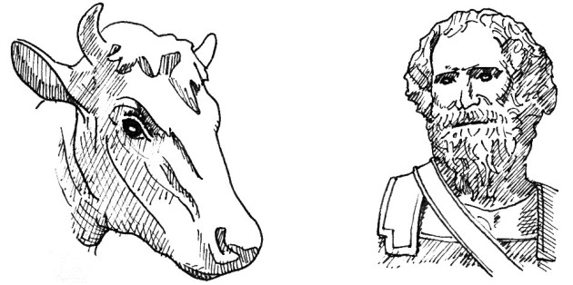 cow_and_archimedes
